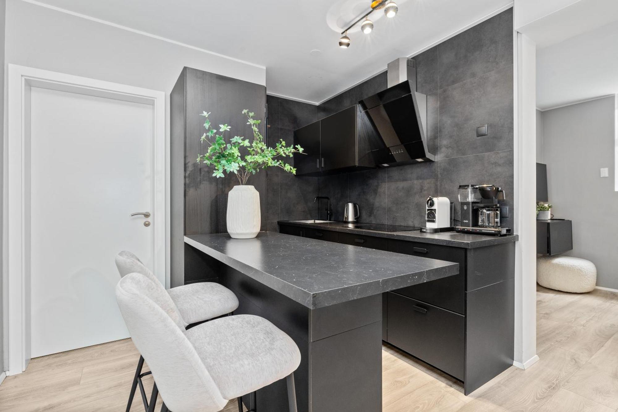 Vatnsstigur Apartment Рейк'явік Екстер'єр фото
